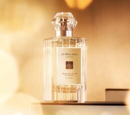 Midnight Musk
